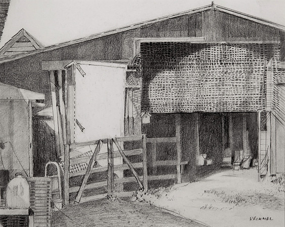 Barn with netting