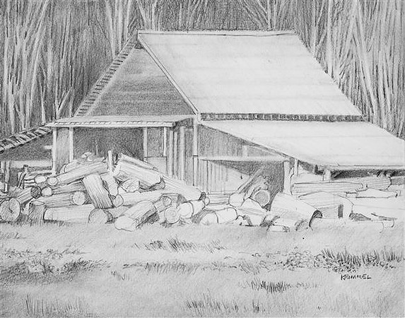Horse Barn on 240th with logs